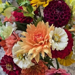 Meet your Posher, Caroline